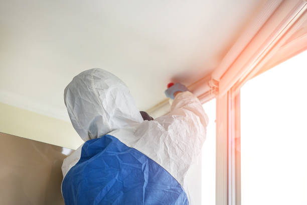 Trusted Lower Grand Lagoon, FL Mold Removal & Remediation Experts